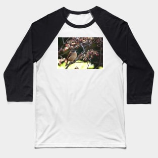 Springtime Baseball T-Shirt